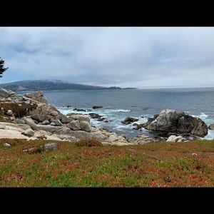 Meet your Posher, Jaden